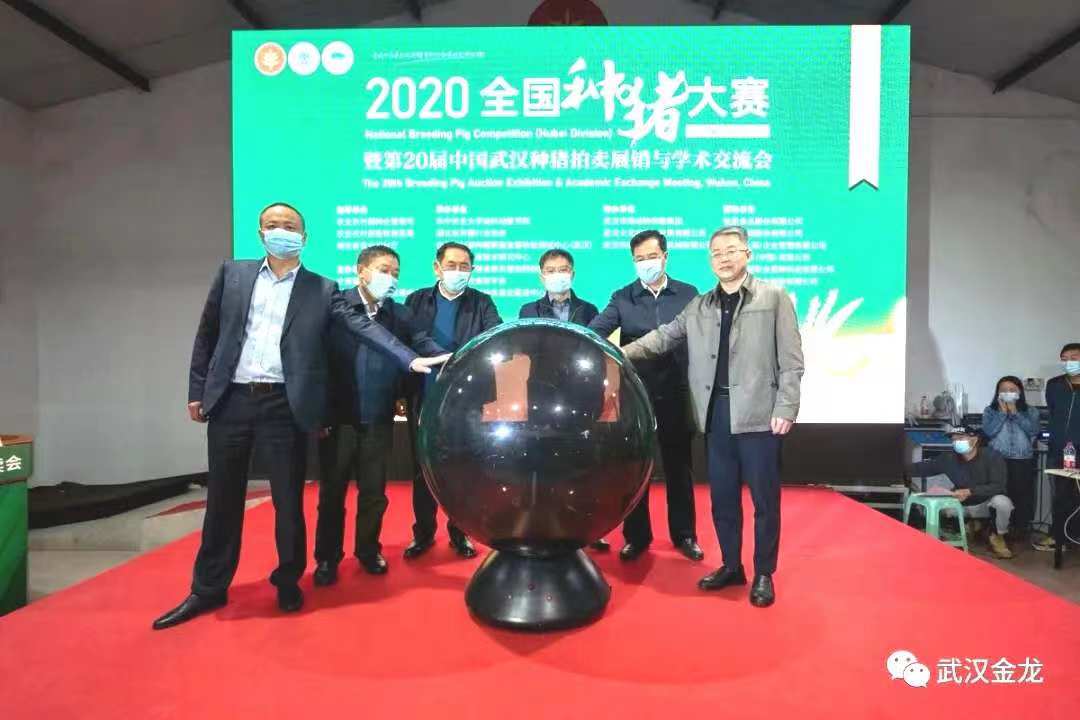 熱烈祝賀武漢金龍集團長白種豬2020年中國農民豐收節系列活動”全國種豬大賽（湖北賽區）摘得桂冠